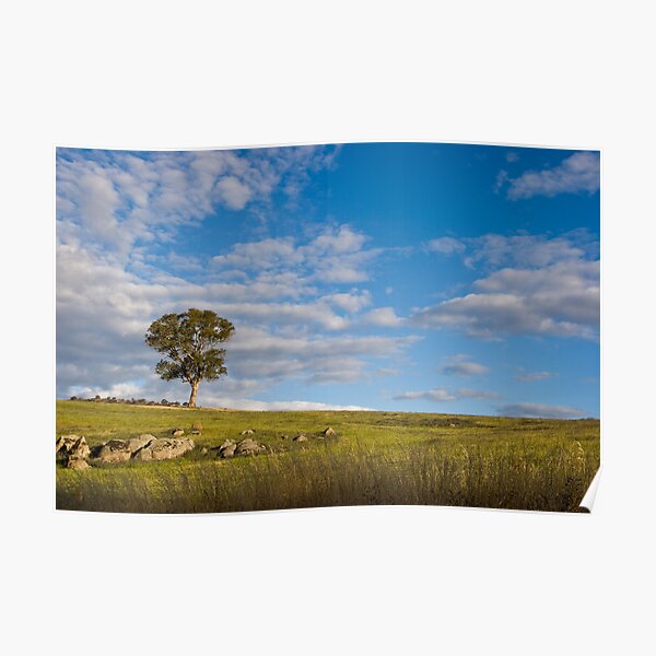 Peace in the Pasture Poster