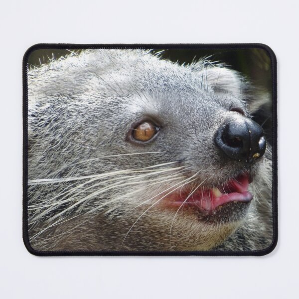 Item preview, Binturong designed and sold by Ancient Realms.