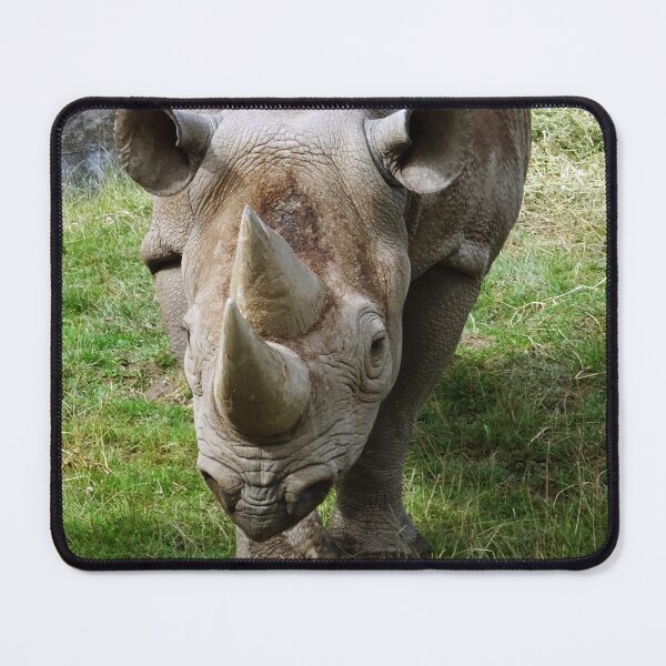 Item preview, Black Rhinoceros designed and sold by Ancient Realms.