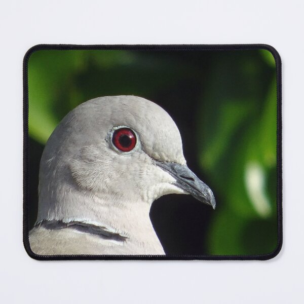 Item preview, Collared Dove designed and sold by Ancient Realms.