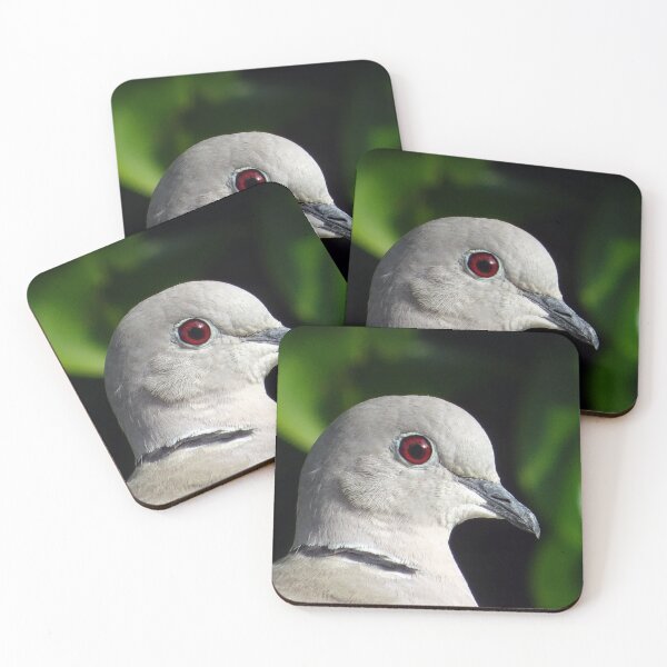 Item preview, Collared Dove designed and sold by Ancient Realms.