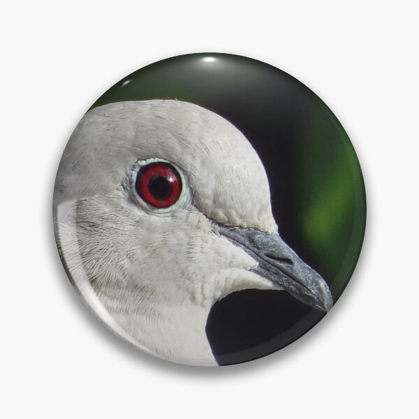 Item preview, Collared Dove designed and sold by Ancient Realms.