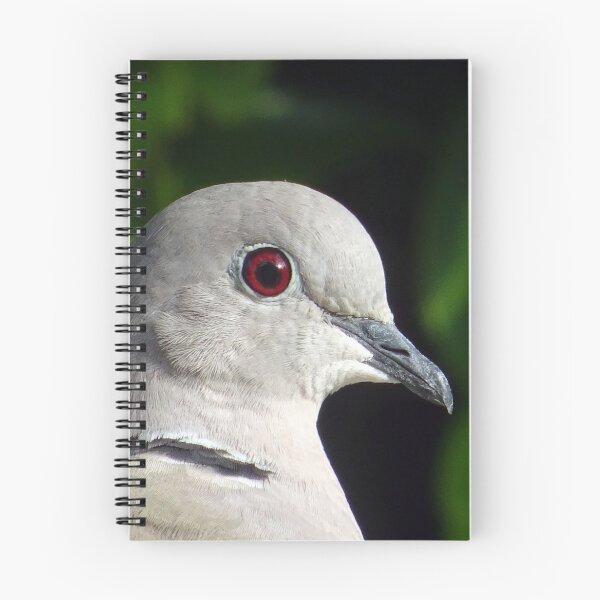 Item preview, Collared Dove designed and sold by Ancient Realms.