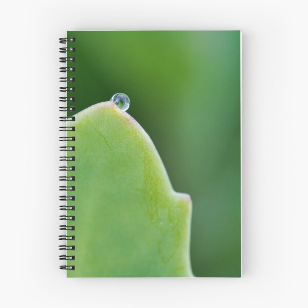 Item preview, Close up of a water droplet on a flower designed and sold by waleed kurdi.