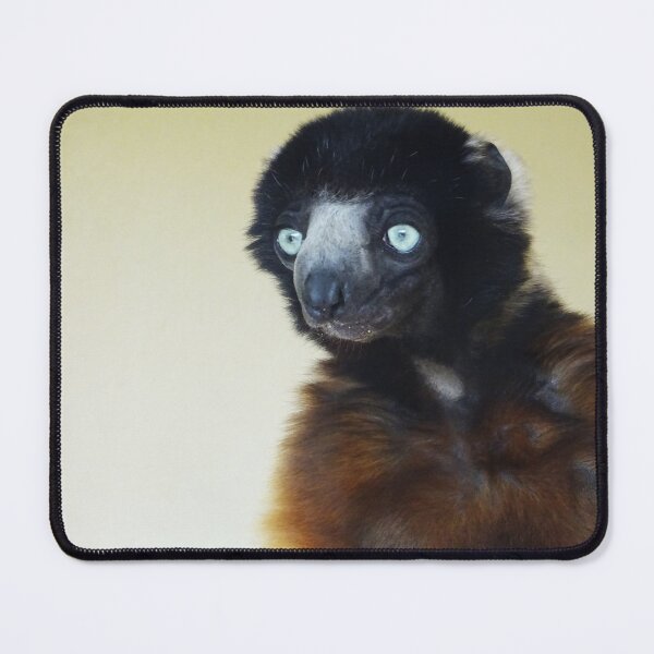 Item preview, Crowned Sifaka designed and sold by Ancient Realms.