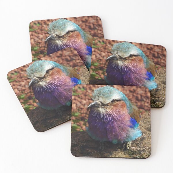 Item preview, Lilac-Breasted Roller designed and sold by Ancient Realms.
