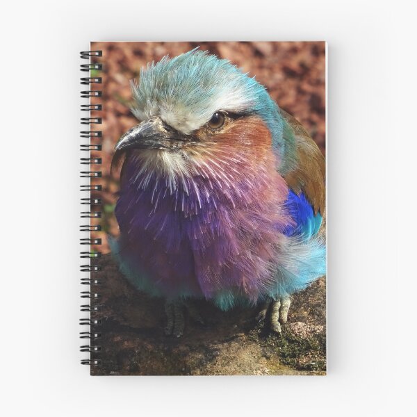 Item preview, Lilac-Breasted Roller designed and sold by Ancient Realms.