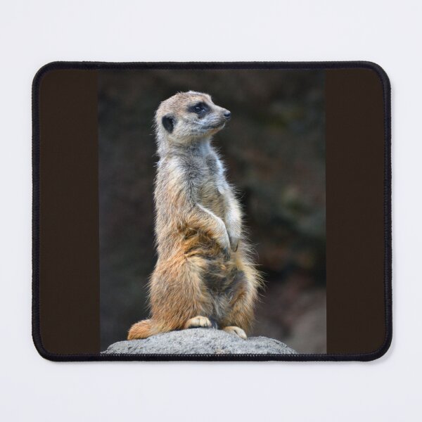 Item preview, Meerkat  designed and sold by Savannah Gibbs.