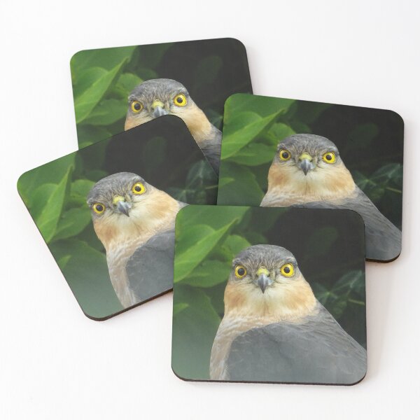 Item preview, Sparrowhawk designed and sold by Ancient Realms.
