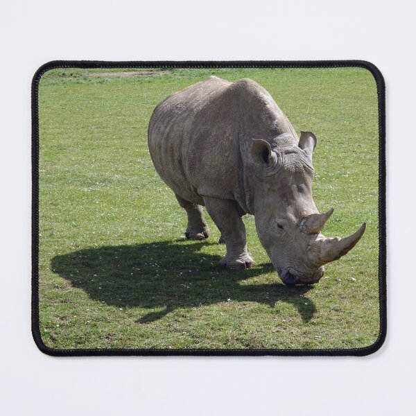 Item preview, White Rhinoceros designed and sold by Ancient Realms.