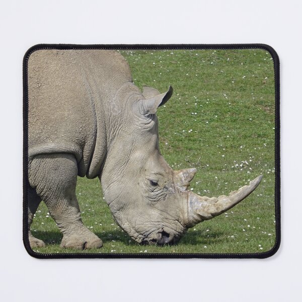 Item preview, White Rhinoceros designed and sold by Ancient Realms.