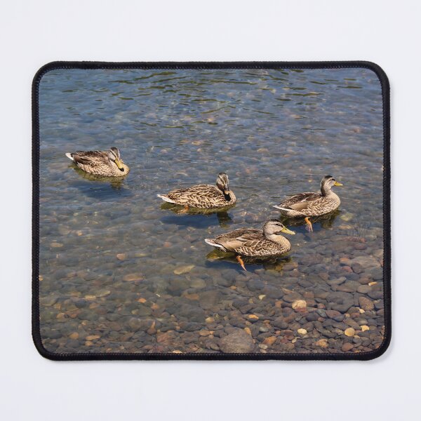 Item preview, Duckies out for a Swim designed and sold by Michael Worley.