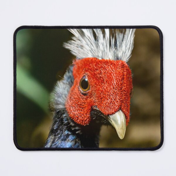 Item preview, Edwards's pheasant designed and sold by Weston  Westmoreland.