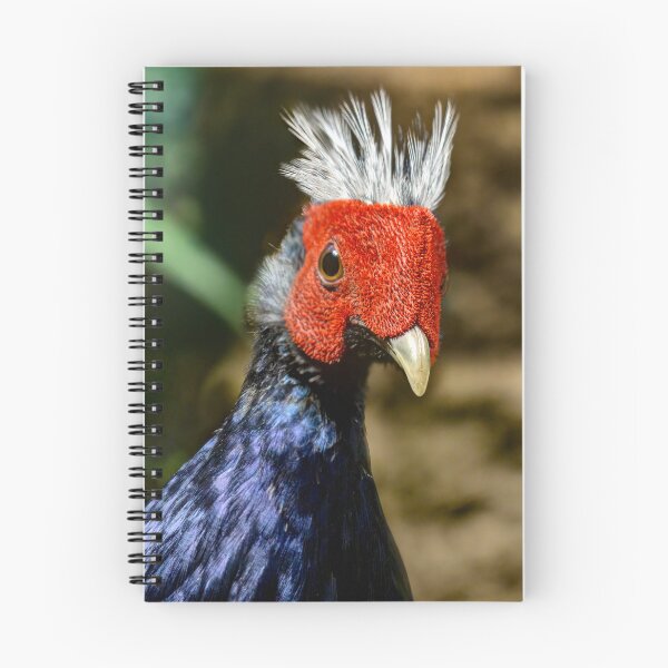 Item preview, Edwards's pheasant designed and sold by Weston  Westmoreland.