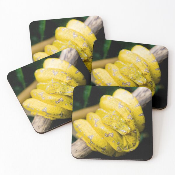 Item preview, Baby Green Tree Python designed and sold by Weston  Westmoreland.