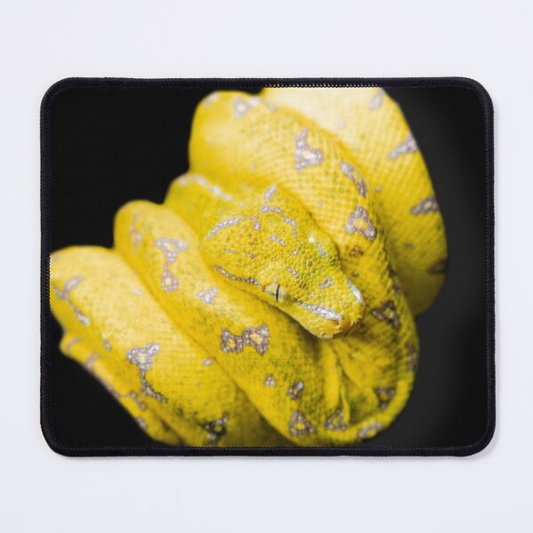 Item preview, Baby Green Tree Python designed and sold by Weston  Westmoreland.