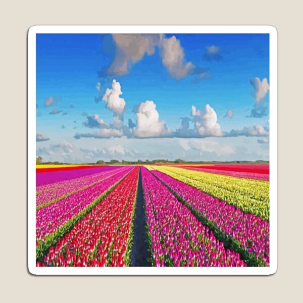 keukenhof Magnet