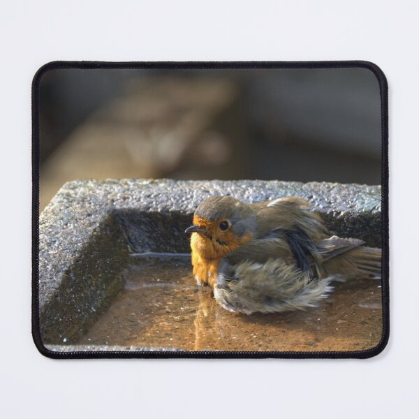 Artikelvorschau, Robin beim Baden entworfen und verkauft von days-photographic.