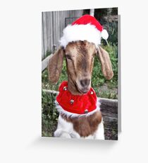 Christmas Boy Greeting Card