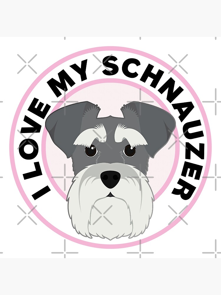 my schnauzer