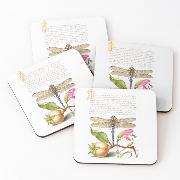Item preview, The Model Book of Calligraphy | Dragonfly Pear Carnation and Insect | Dragonfly  designed and sold by TeeARTHY.