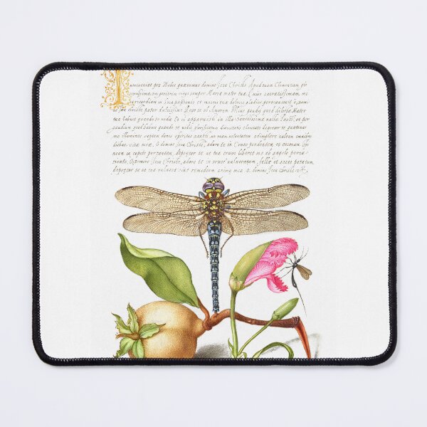 Item preview, The Model Book of Calligraphy | Dragonfly Pear Carnation and Insect | Dragonfly designed and sold by TeeARTHY.