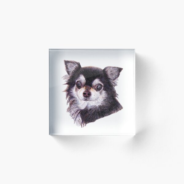 Long Haired Chihuahua Acrylic Block