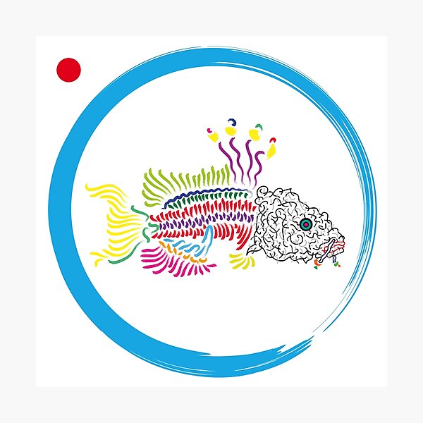 Koi Fotodruck