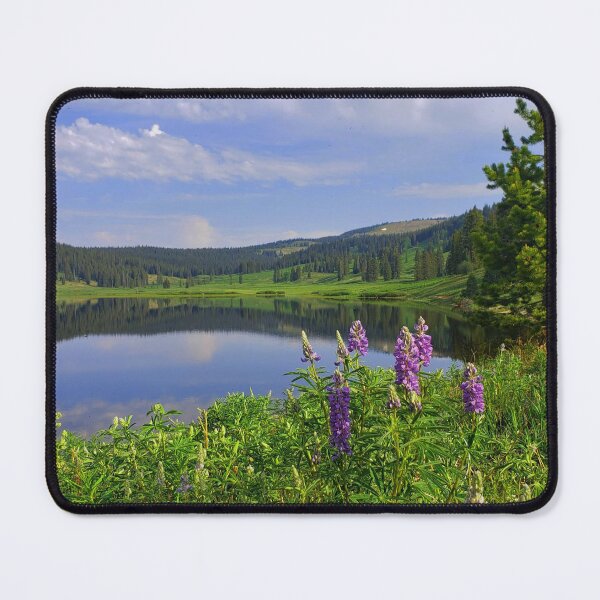 Item preview, Dumont Lake designed and sold by Alla Gill.