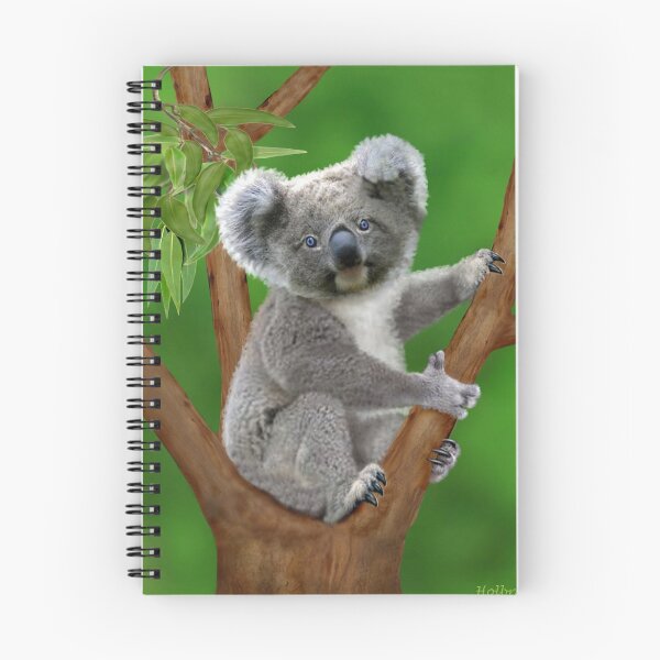 Item preview, Blue-Eyed Baby Koala Bear designed and sold by GLENN HOLBROOK.