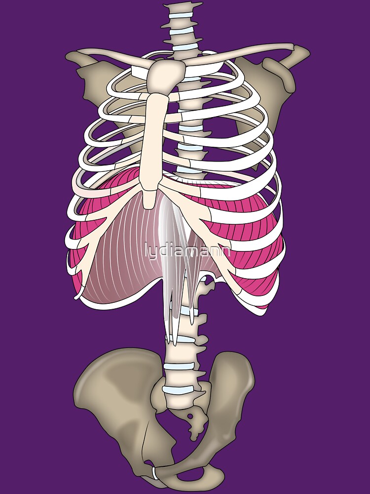 "Your diaphragm's in your rib cage" T-shirt by lydiamann | Redbubble