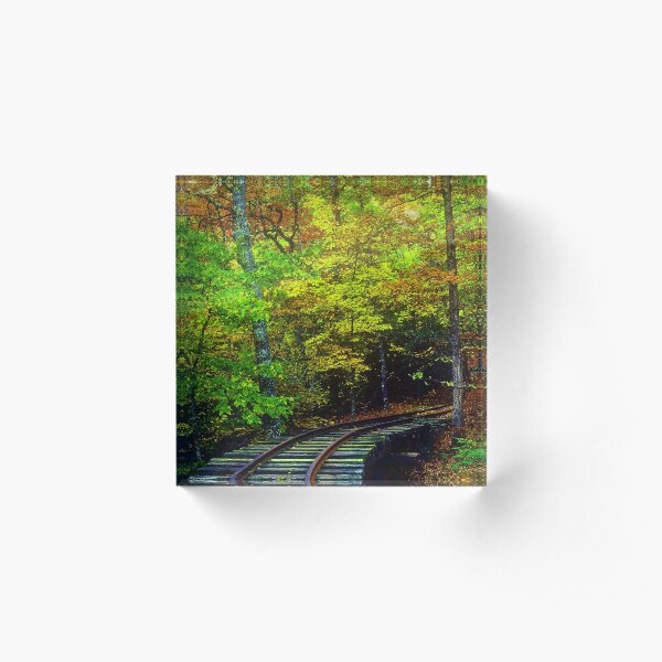 Train Tracks into the Woods Acrylic Block
