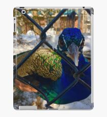Sassy Peacock iPad Case/Skin