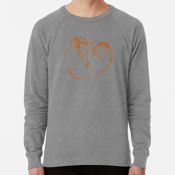 Curl Up Cat Lightweight Sweatshirt