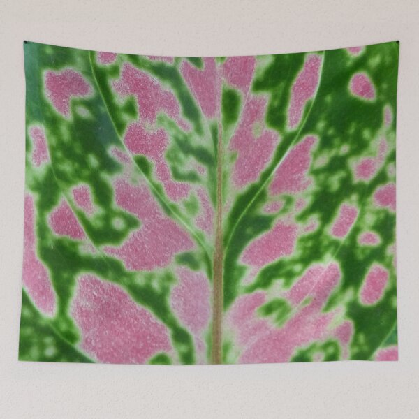 Item preview, Aglaeonema Pink Lady Leaf Pattern designed and sold by TropicalFronds.