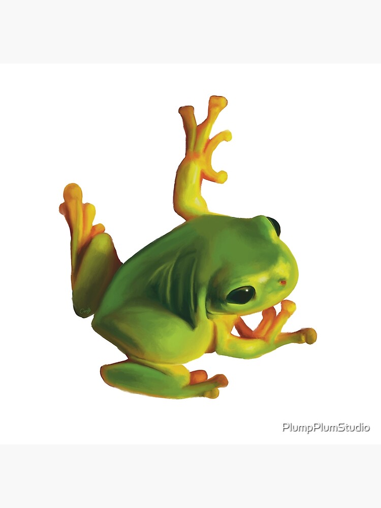 Red Eyed Tree Frog Sticker — Creepy Crawly Apparel