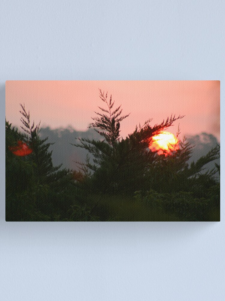 Alternate view of January Canvas Print