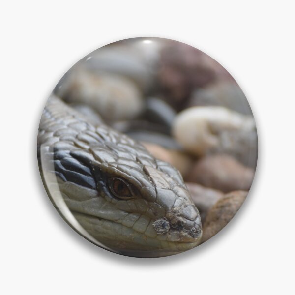 Item preview, Lizard Looking designed and sold by suziq1962.