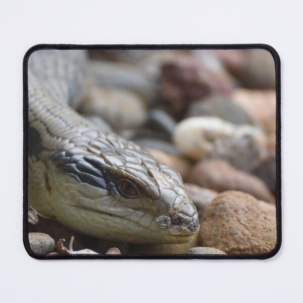 Item preview, Lizard Looking designed and sold by suziq1962.