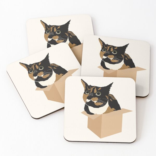 Item preview, clair in cardboard box designed and sold by slaycentral.