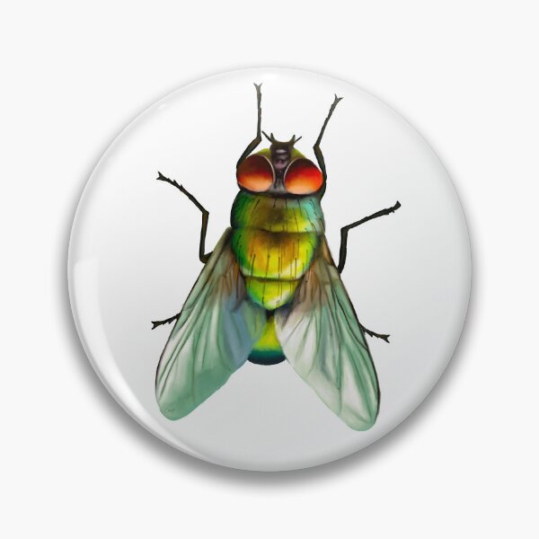 Item preview, Your household fly. Can be annoying, but is surprisingly colourful. With beautiful metallic hues of green, gold and blue designed and sold by PlumpPlumStudio.