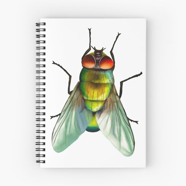 Item preview, Your household fly. Can be annoying, but is surprisingly colourful. With beautiful metallic hues of green, gold and blue designed and sold by PlumpPlumStudio.