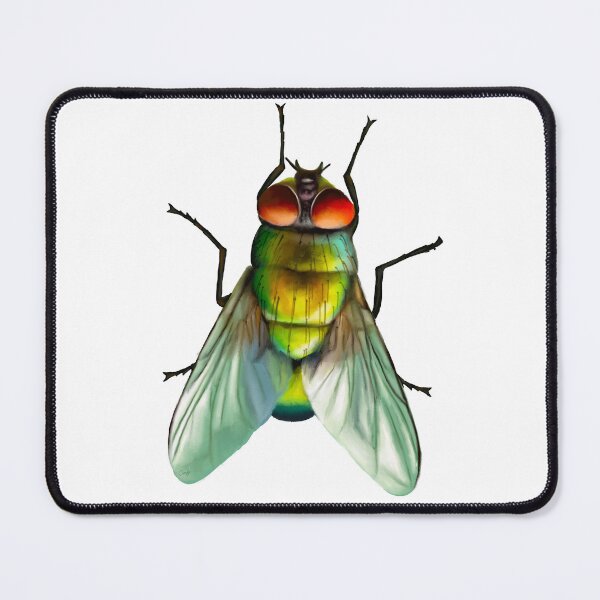 Item preview, Your household fly. Can be annoying, but is surprisingly colourful. With beautiful metallic hues of green, gold and blue designed and sold by PlumpPlumStudio.