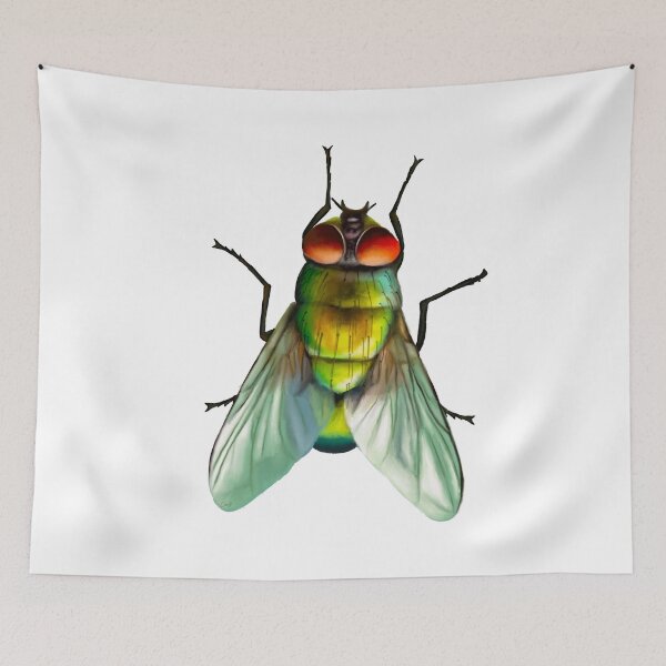 Item preview, Your household fly. Can be annoying, but is surprisingly colourful. With beautiful metallic hues of green, gold and blue designed and sold by PlumpPlumStudio.