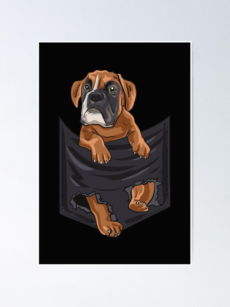 Brindle Boxer dog pocket
