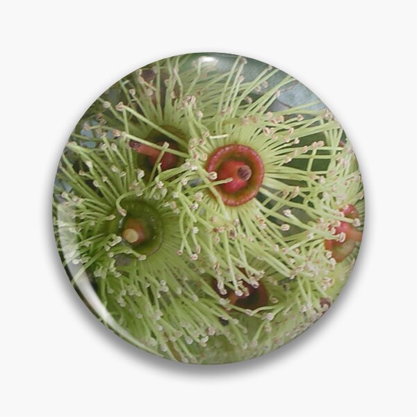 Item preview, Golden green mallee flowers designed and sold by Cynthia Dix.