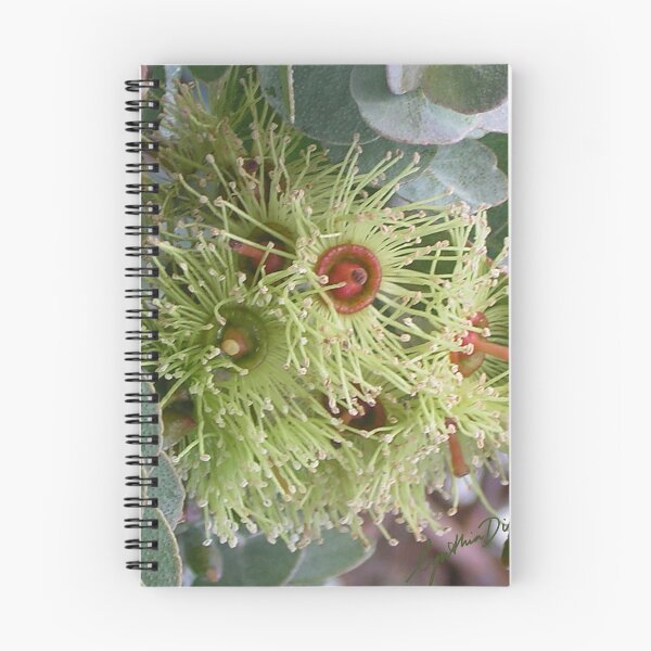 Item preview, Golden green mallee flowers designed and sold by Cynthia Dix.