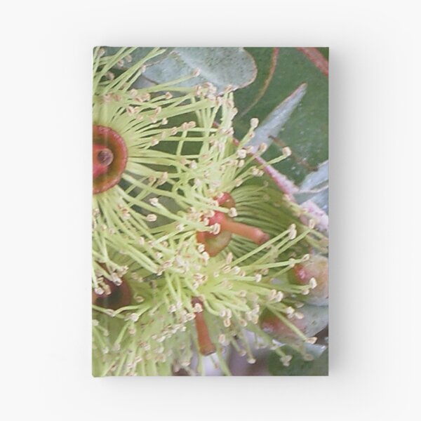 Item preview, Golden green mallee flowers designed and sold by Cynthia Dix.