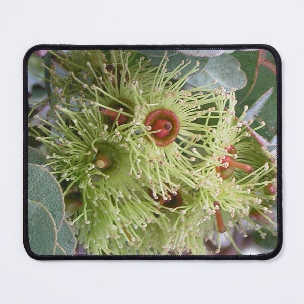 Item preview, Golden green mallee flowers designed and sold by Cynthia Dix.