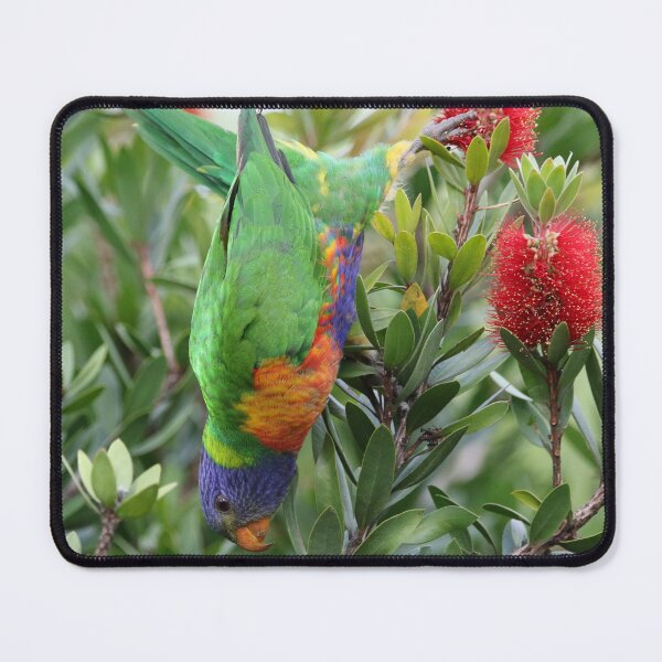 Item preview, Rainbow Lorikeet 2 designed and sold by Genevieve Hanlon Art and Photography.